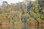 Lake Salvador, the largest oxbow lake in the lower Manu River